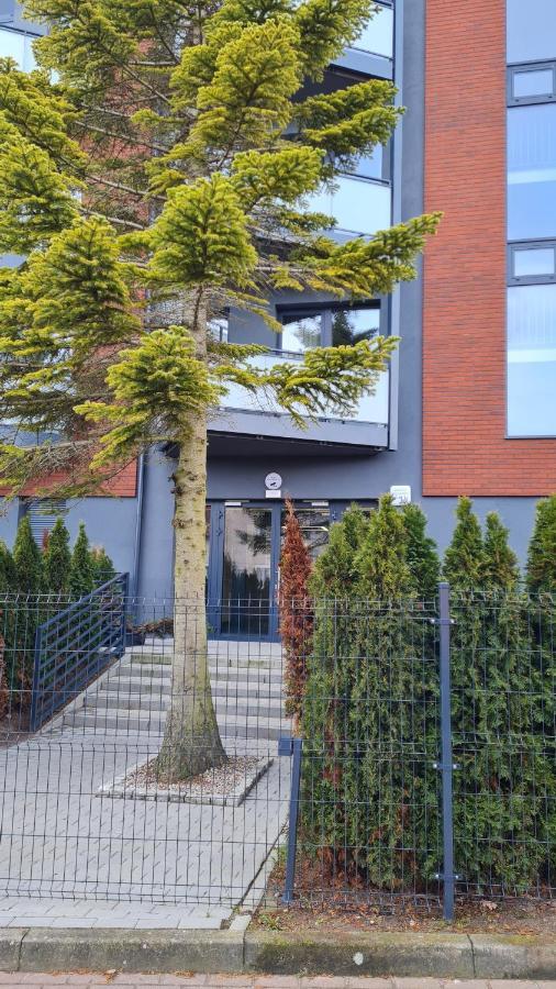 Daira Apartments ウストロニエ・モルスキエ エクステリア 写真